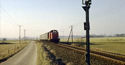 211 100 im Düsterfeld bei Xanten