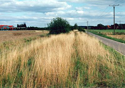 Xanten - Kleve im Düsterfeld - Zustand 2005